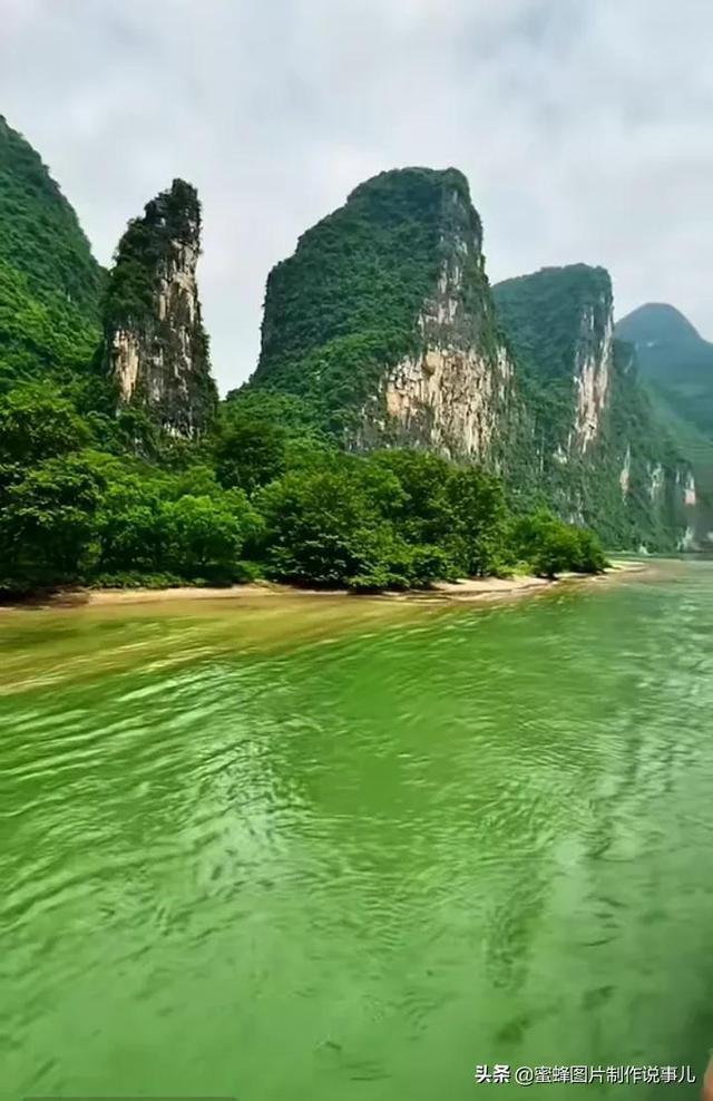 无休止的树